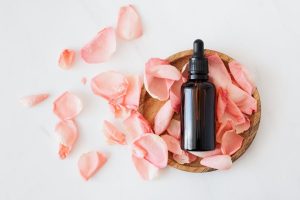 深入了解 Dior 香水：香氣背後的小故事
