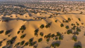 物流香港：探索香港物流業的重要性與趣味