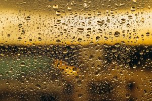 探索獨特風情的港島酒店體驗